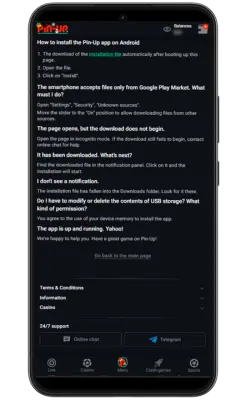 Pin-Up APK App Security