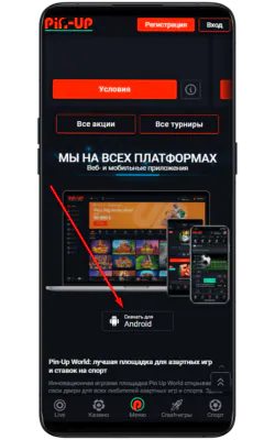 Скачать Пин Ап App