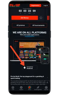 Accessing the Official Website: Downloading the Pinup APK